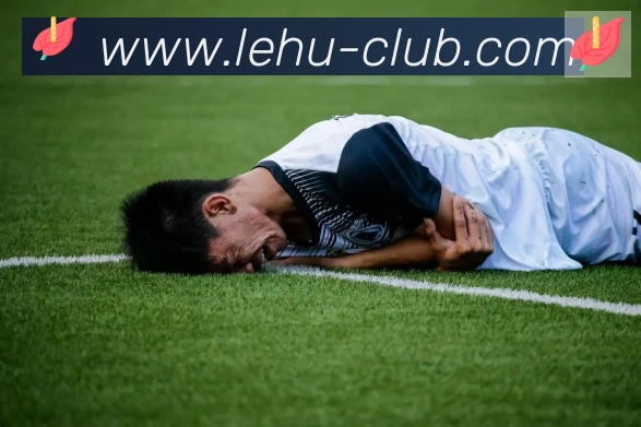 乐虎国际品牌故事